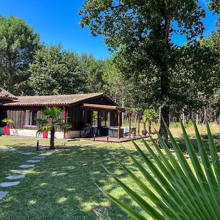 Hacienda De La Canopee Avec Piscine Chauffee Au Sel Hourtin Exterior photo