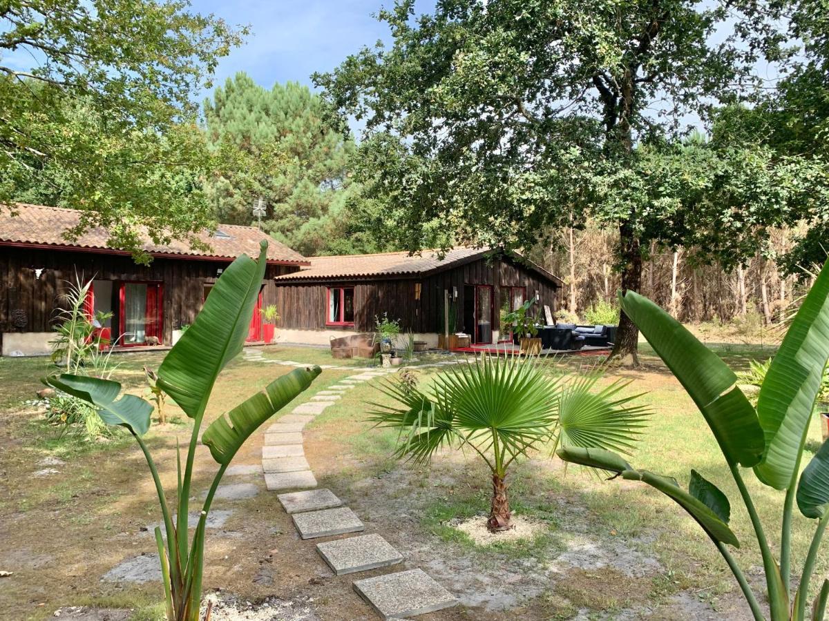 Hacienda De La Canopee Avec Piscine Chauffee Au Sel Hourtin Exterior photo